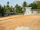 මාකුඹුරෙන් ඉඩමක්