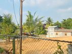 මාකුඹුරෙන් වටිනා ඉඩමක්