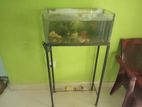 Fish Tank with