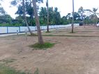 මාලඹේ අතුරුගිරියෙන් කොළඹ ඇවිත් පදිංචි වෙන්න