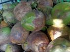 මාලු පොල්