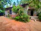 🏡✨ මාරවිල නාත්තන්ඩිය අතර වටිනා නිවසක් සමග ඉඩමක් / DU 16049