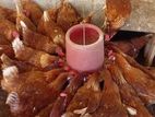 Farm Chicks
