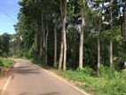 මාතලේ නගරයට 5km දුරින් අගනා ඉඩමක් විකිණීමට ඇත