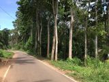 මාතලේ නගරයට 5km දුරින් අගනා ඉඩමක් විකිණීමට ඇත