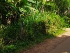 මාතලේ පරගහවෙල ගල්ඔය ප්‍රධාන පාරට මුහුණලා