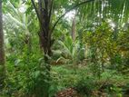 Land for Sale in Matara