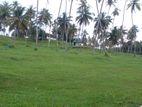 මාතර ලැබීමෙන් නේවාසික බිම් කොටස්