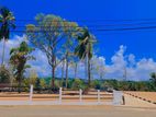මාතර නගරයෙන් ඉඩම්