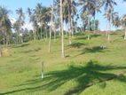 මාතර නව රෝහල පාරෙන් බිම් කොටස්