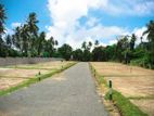 මාතර පාරෙන් ඉඩමක්