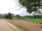 මාතර ප්‍රධාන මර්ගයෙන් වෙල් යායකට මුහුණලා ඉඩමක්