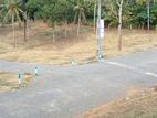 මාතර තල්පාවිල අගනා බිම් කොටස්
