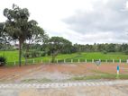 මාතරින් වෙල් යායකට මුහුණලා ඉඩමක්