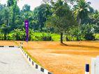 මාතරින් වෙල් යායකට මයිමිව ඉඩමක්