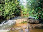 මාවක් ඔයට මූනලා අගනා බිම්කොටස්