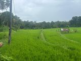 මාවනැල්ලෙන් ඉඩමක් විකිණීමට