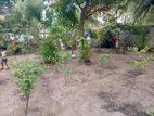 MADURANKULIYA : 20 PERCHES LAND FOR SALE