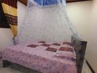 Mosquito Net