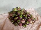 මැන්ගුස්