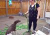 Magic Hose 150 ft - Expandable Garden