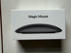 Magic Mouse 2