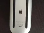 Magic Mouse Gen 2