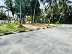 Mahabage Best Residential Land for Sale