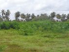 Mahabage Ragama land on sale close to station and hospital for apartment
