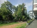 Maharagama : 12.15P Commercial Land For Sale facing Piliyandala Road