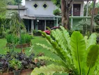 Maharagama : 27P Highly Residential House for Sale at Neelammahara