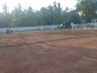 Maharagama Road Boralesgamuwa Residential land for sale