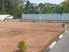 Maharagama road Luxury Land for Sale In Boralesgamuwa