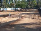 Mahavila – Panadura Road Valuable land for sale