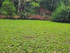 Mahaweli River Facing Flat Land For Sale in Kandy