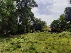 Maho : 2 Acres Bare Land for Sale