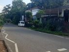 Main Road facing commercial land for sale in 219 Meegoda Artigala