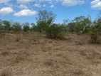 Main Road Facing Land For Sale Hakmana