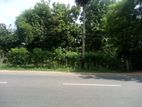 Main Road Facing Land for Sale in Anuradhapura - 69 Perches