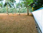 Main Road Facing Land for Sale in Mellawagedara P1