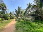 Main Road Facing Land for Sale in Pamunugama (C7-5374)