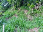 Main Road Facing Land for Sale in Polgolla, Katugasthota ( TPS2028)