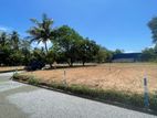 Main Road Facing Land for Sale Kurunegala