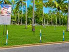Main Road Facing Land for Sale Mellawagedara - HB 02
