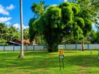 Main Road Facing Land for Sale Mellawagedara - HB01