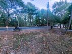 Main Road facing Land for Sale Padeniya, Rideebendiella, Ambagaswewa