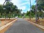 Main Road Facing Land for Sale Pannala Diulapitiya - Mb01