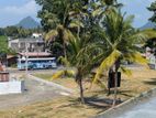 Main Road Facing Lands For Sale kurunegala ibbagamuwa
