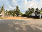 Main Road Facing Prime Commercial Land for Sale – Panagoda