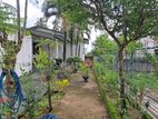 Main Road Frontage Investment Property – Malabe